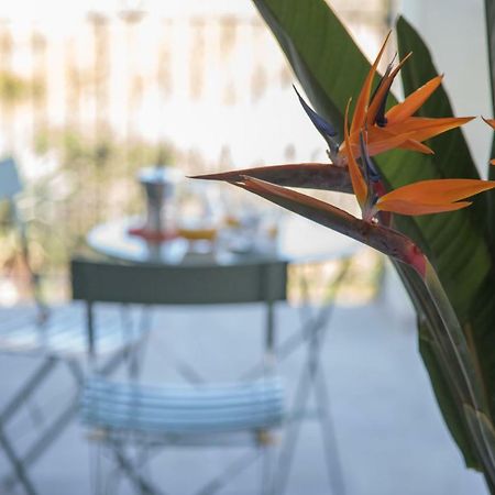 La Strelitzia Cervo Mare Apartment ภายนอก รูปภาพ