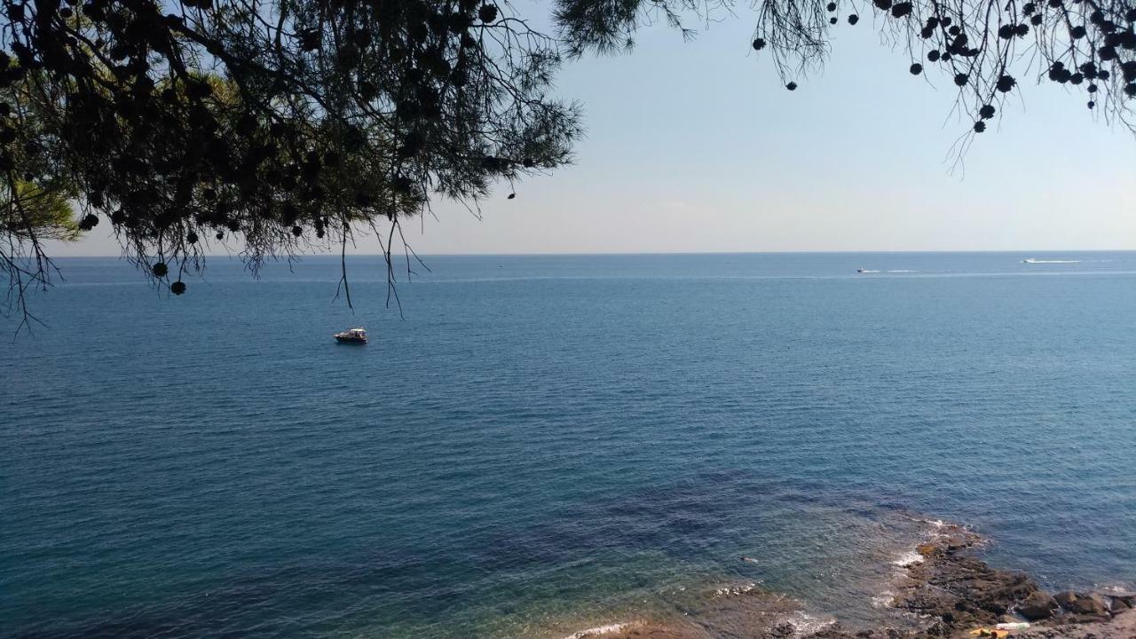 La Strelitzia Cervo Mare Apartment ภายนอก รูปภาพ